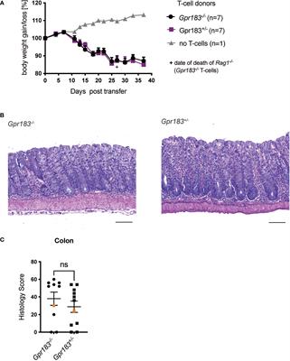 CD4+-mediated colitis in mice is independent of the GPR183 and GPR18 pathways